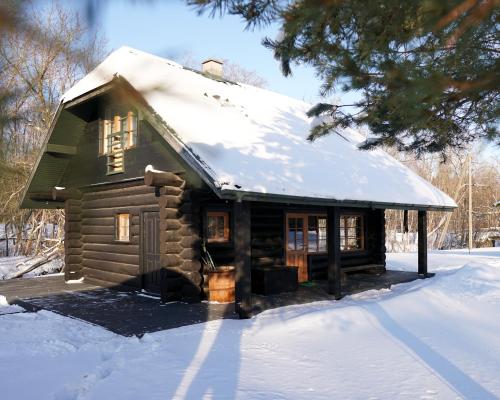 NītaureRiver House的屋顶上积雪的小小木屋
