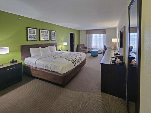 Columbia哥伦比亚司丽普酒店及套房的配有一张床和一张书桌的酒店客房