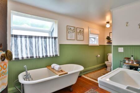 Mount TremperCatskill CountryHouse w Hot Tub Near Skiing的带浴缸、窗户和水槽的浴室