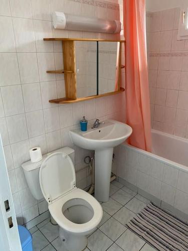 塞纳河畔诺让Studio hypercentre Abbatial 431的一间带卫生间和水槽的浴室