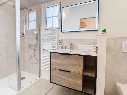 LʼHerbaudièreLa Tranquillité的浴室配有盥洗盆和带镜子的淋浴