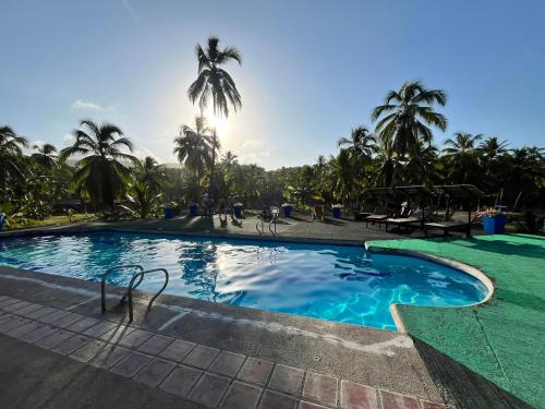 圣玛尔塔CASA DE CAMPO CASTILLETE dentro del PARQUE TAYRONA的一座棕榈树环绕的大型游泳池