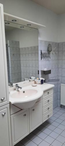 阿珀尔多伦Knuzzz&brocante的一间带水槽和大镜子的浴室
