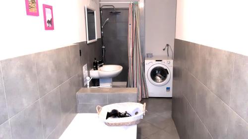 科莱尼奥MetroNear的一间带水槽和洗衣机的浴室