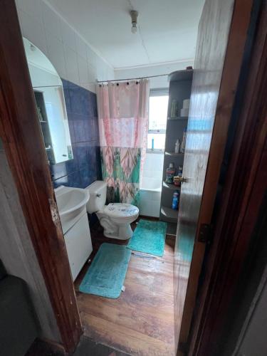 威廉斯港Casa capdeville的浴室设有卫生间和2个蓝色地毯。