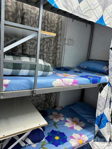 迪拜Bed Space Hostel的双层床间 - 带两张双层床
