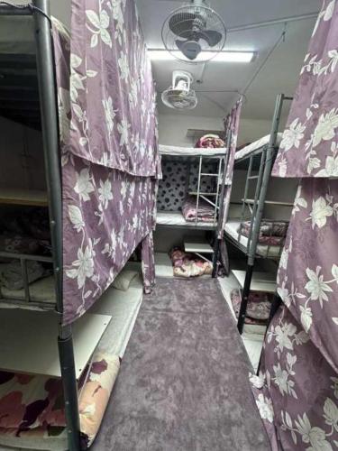 迪拜Bed Space Hostel的配有带紫色窗帘的双层床的客房