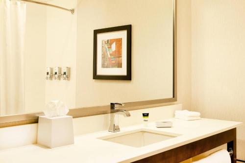 纽瓦克纽瓦克克里斯蒂安娜威尔明顿福朋喜来登酒店的一间带水槽和镜子的浴室