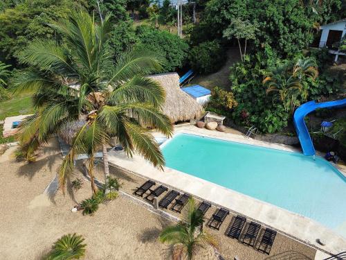 比列塔Jungla EcoLuxury Resort的享有游泳池的顶部景色,游泳池拥有棕榈树