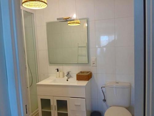 昂代Appartement Hendaye, 2 pièces, 4 personnes - FR-1-239-1019的一间带水槽、镜子和卫生间的浴室