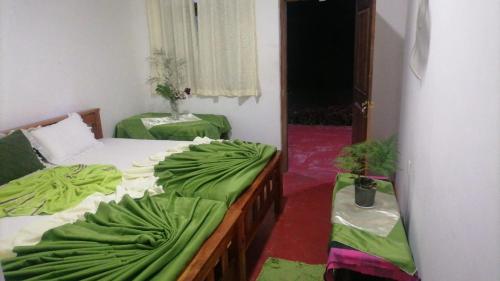 波隆纳鲁沃New Gama Guest的一间设有两张床铺的客房,配有绿毯
