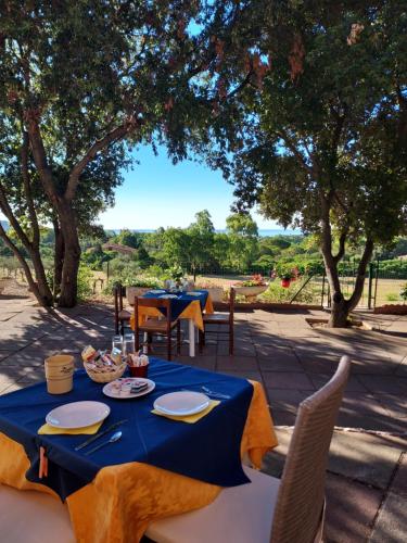 奇亚罗莎德维蒂住宿加早餐酒店的一张桌子,上面有蓝色的桌布,椅子和树木