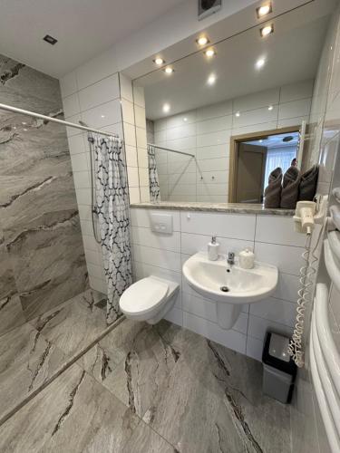 乌斯特卡Maximus的一间带水槽、卫生间和镜子的浴室