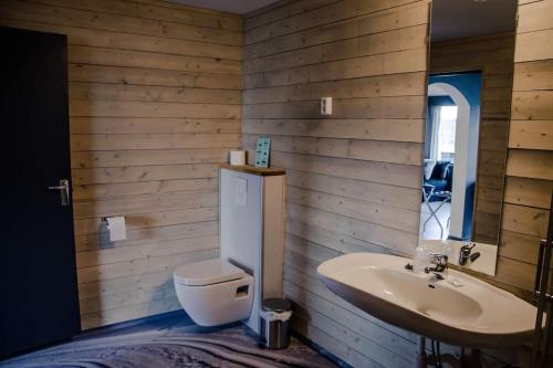 MysusæterRondablikk Fjellstasjon的一间带卫生间和水槽的浴室