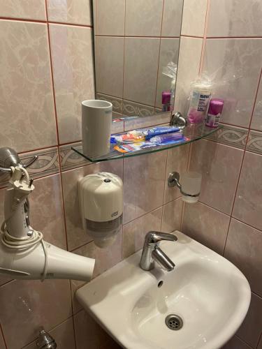 德鲁斯基宁凯吉瑞瓦酒店的一间带水槽和镜子的浴室