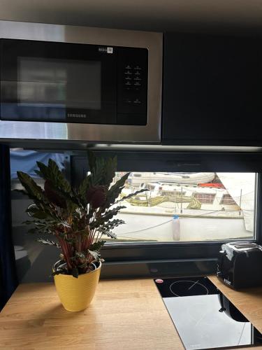 吕贝克Premium Hausboot Blaue Lagune的窗户前的微波炉和植物