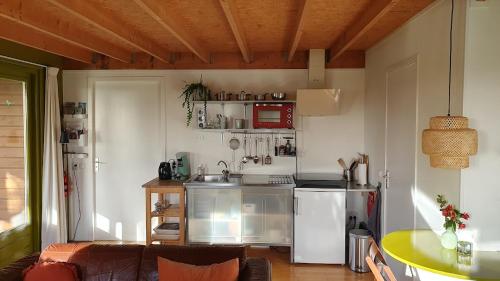 VeendamB&B Houtstee的小厨房配有炉灶和冰箱