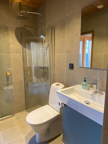 伊德勒Modern villa in North Park Villas, Idre的浴室配有卫生间、盥洗盆和淋浴。