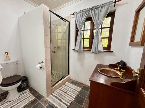 逊邱伦Aurora Bushbaby 2的带淋浴、卫生间和盥洗盆的浴室