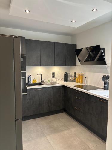 维勒班Appartement moderne的厨房配有黑色橱柜和冰箱。