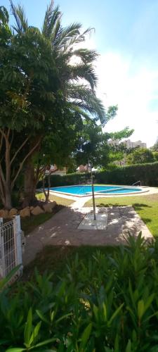 阿利坎特VISTAS PLAYA - Torre San Jordi的从庭院可欣赏到游泳池的景色