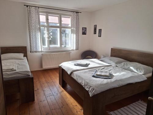 梅图耶河畔特普利采Apartment 180的一间卧室设有两张床和窗户。