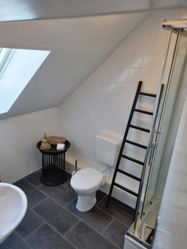 维滕Wohlfühlende Wohnung nähe Dortmund的阁楼浴室设有卫生间和梯子