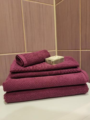 里加Iļģuciema Apartment的一堆紫色毛巾,放在水槽顶上