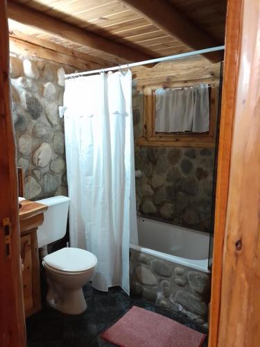 圣卡洛斯-德巴里洛切Paraiso Bariloche的一间带卫生间和淋浴帘的浴室