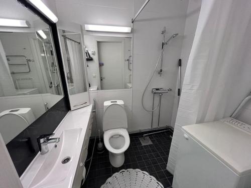 诺基亚BlueSolarPearl R - Vaihtoehto majoittumiselle的一间带卫生间、水槽和镜子的浴室