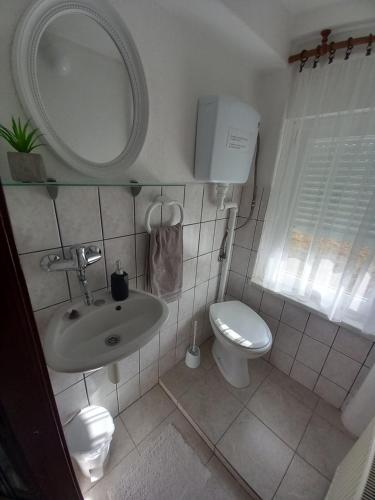 代尔尼采Apartman Ris Gorski Kotar Crni Lug的一间带水槽、卫生间和镜子的浴室
