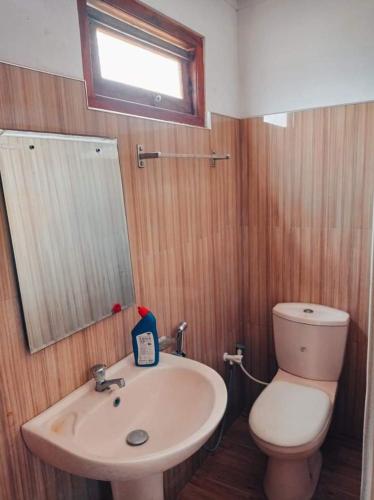 阿努拉德普勒Puraya'S Lodge的浴室配有白色水槽和卫生间。