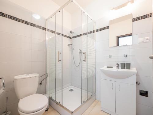尼特拉Penzion ARIES的带淋浴、卫生间和盥洗盆的浴室