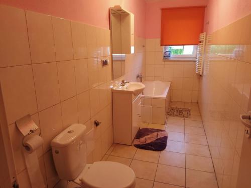 切哈努夫Pokoje Goscinne Buzuki的一间带卫生间和水槽的浴室