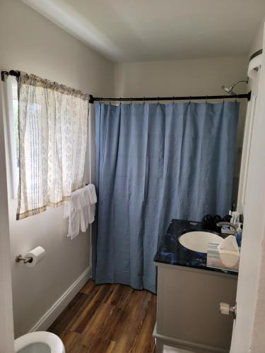 Tranquil Retreat in the heart of Bethany的浴室设有水槽和蓝色的浴帘