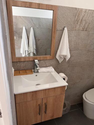 拉古纳EMY HOUSE的一间带水槽、镜子和卫生间的浴室