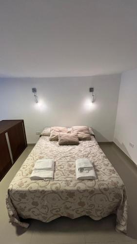 拉里奥哈Solares, Departamento zona centro的一间卧室配有一张大床和毛巾