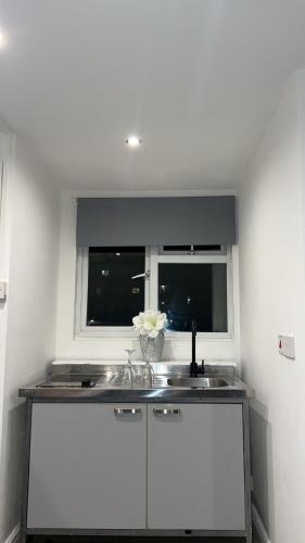 伦敦Sunrise Retreat的厨房设有水槽和窗户。