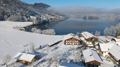 施利尔塞Der Anderlbauer am See的雪中村庄的空中景观
