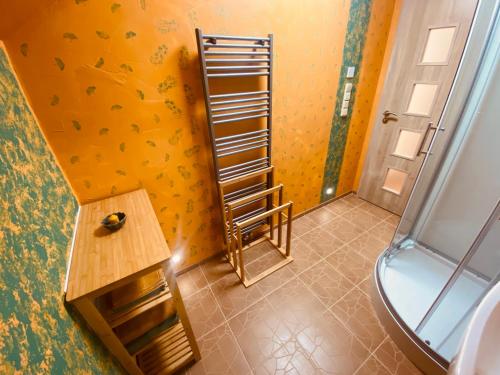 达那撒扎乌Pyramida & Sauna Relax Guest House的浴室设有淋浴旁边的梯子