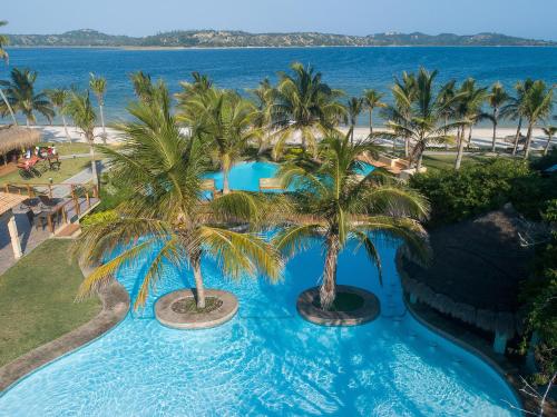 普拉伊拉多比莱尼圣玛迪合海滩俱乐部度假村的享有棕榈树度假村游泳池的空中景致