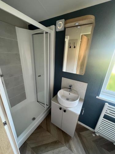斯凯格内斯Royal Oak Caravan Park的浴室配有白色水槽和淋浴。