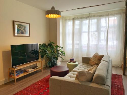 贝梅奥Charming flat in historic centre by Santa Maria的带沙发和平面电视的客厅