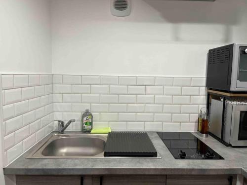 奥尔良Duplex Place du Martroi的厨房柜台设有水槽和微波炉