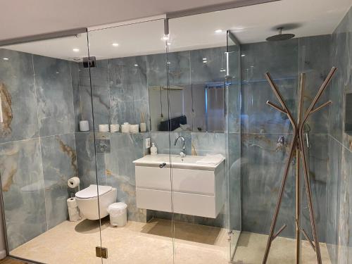 埃拉特YANZ APARTMENT的浴室配有卫生间、盥洗盆和淋浴。