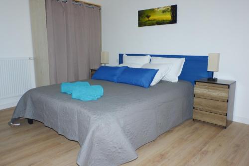 普拉德莫洛拉普雷斯特Serra-Vernet del Roser的一间卧室配有一张带蓝色和白色枕头的床