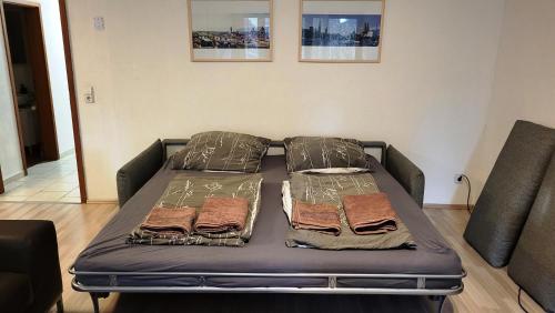 蒂宾根Apartment König的客厅内的一张床位,配有两个枕头
