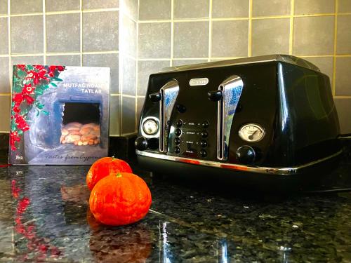 法马古斯塔Best Kept Secret by the Sea的烤面包机坐在两个橙子旁边的柜台上