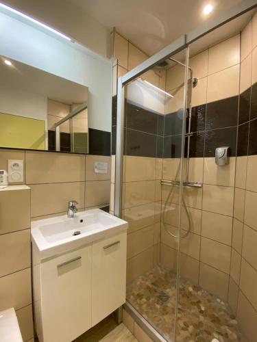 Bellignat美乐蒂酒店的一间带水槽和淋浴的浴室