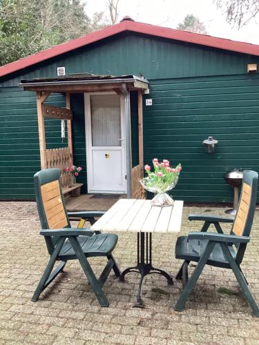 HeijenDe Heijense Molen Retro Camping的绿色建筑前的一张野餐桌和两把椅子